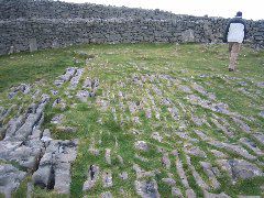 IMG_1549.JPG