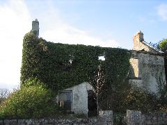 IMG_1554.JPG
