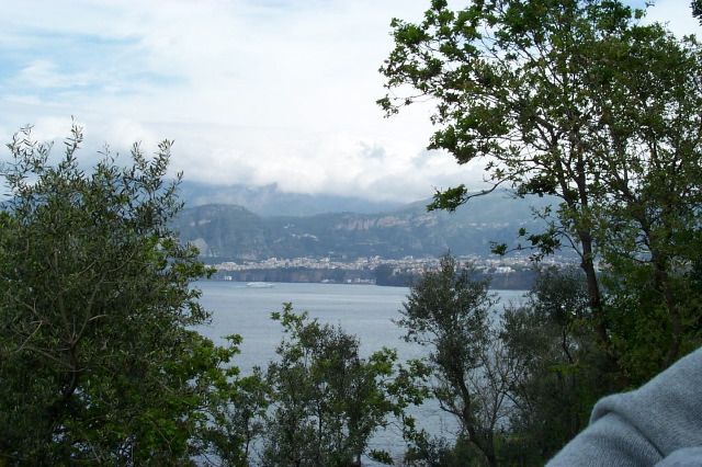 P0000800