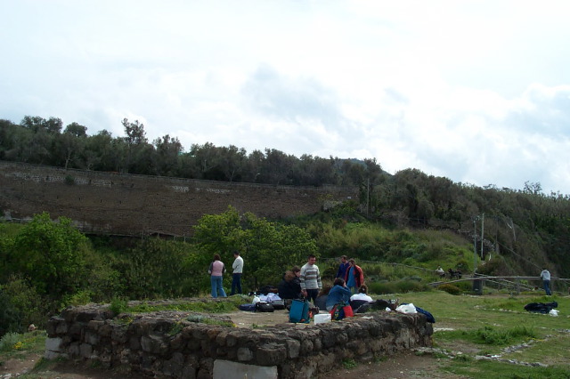 P0000806