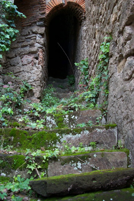P0000707