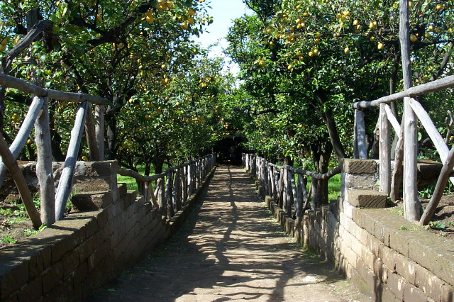 P0000753