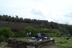 P0000806